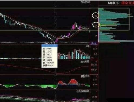 冠军操盘手筹码分布操盘技巧，简单实用，怎么看主力筹码分布？