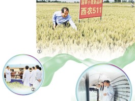 这个西北小城为何能走出28位院士？科技视点为您揭秘