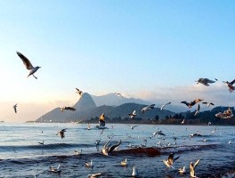 逃离酷暑！7-8月最适合去的6个清凉旅行地，第一个就心动