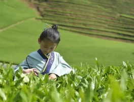 给孩子的六一儿童节礼物——规划一趟暑期旅行️