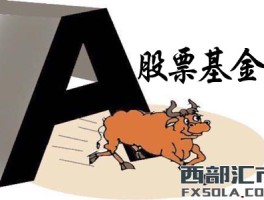 股票基金怎么选？掌握这些股票基金投资技巧很关键