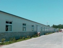 乡村小规模加工厂合作加盟模式解析