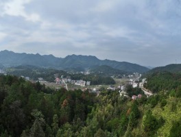 镇上小生意哪些火？看湖南夫妻小店如何带动乡村经济