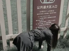 女子为完成男友任务甘愿跪地扮犬，兴奋不已不觉丢人？