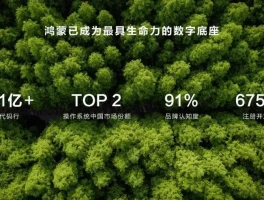中国首个！华为取得重大突破，意义究竟有多重大？