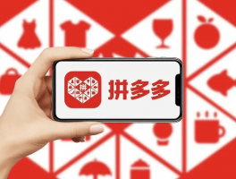 怼怼介绍的跨境拼多多项目，需要掌握哪些技巧？