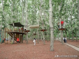 中伏寻凉必备！中国十大避暑胜地全攻略来袭