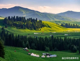 暑期带娃好去处？这里是溜娃宝藏地