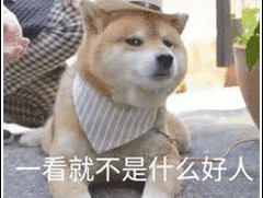养狗多年才懂！养狗家庭遭人嫌的原因究竟是什么？