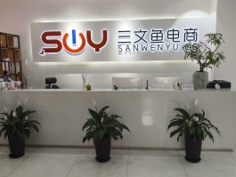 2026年合肥电商代运营服务提供商深度测评及挑选指引