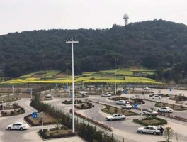 杭州学车周末班怎么约？国庆增开科二科三，提前一天预约