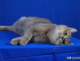 一边喊躺平一边偷偷内卷，现代人的生存真相扎心了