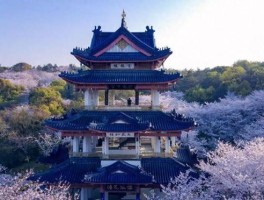 无锡必游打卡清单：15个不容错过的精彩景点