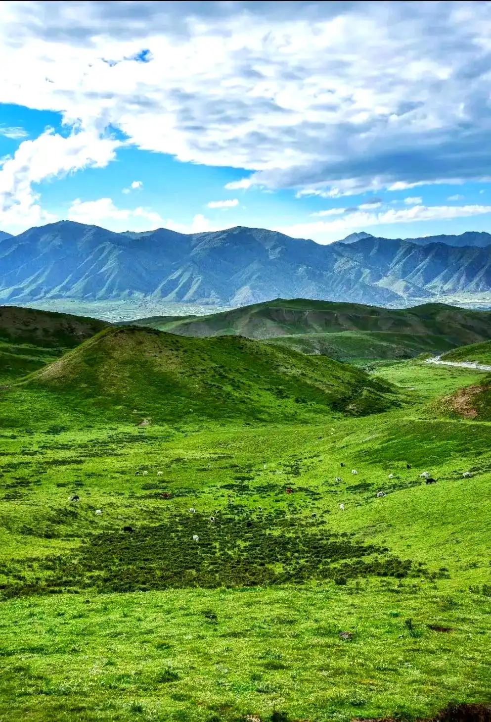 雪山少年营旅游攻略_暑假适合带孩子旅游的地方_暑期亲子游推荐