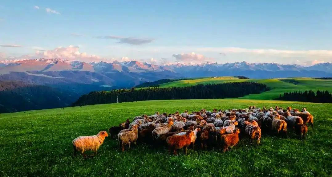 雪山少年营旅游攻略_暑期亲子游推荐_暑假适合带孩子旅游的地方