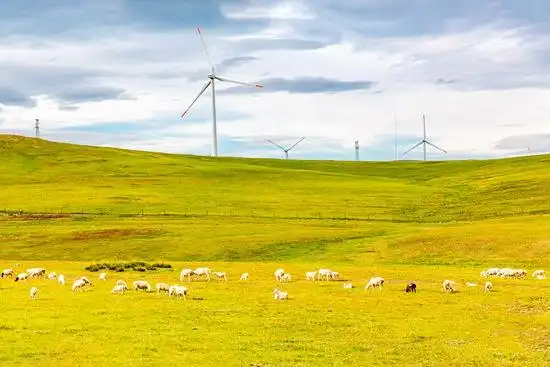 全国避暑草原推荐_7-8月份避暑最佳地方_夏至避暑旅游目的地