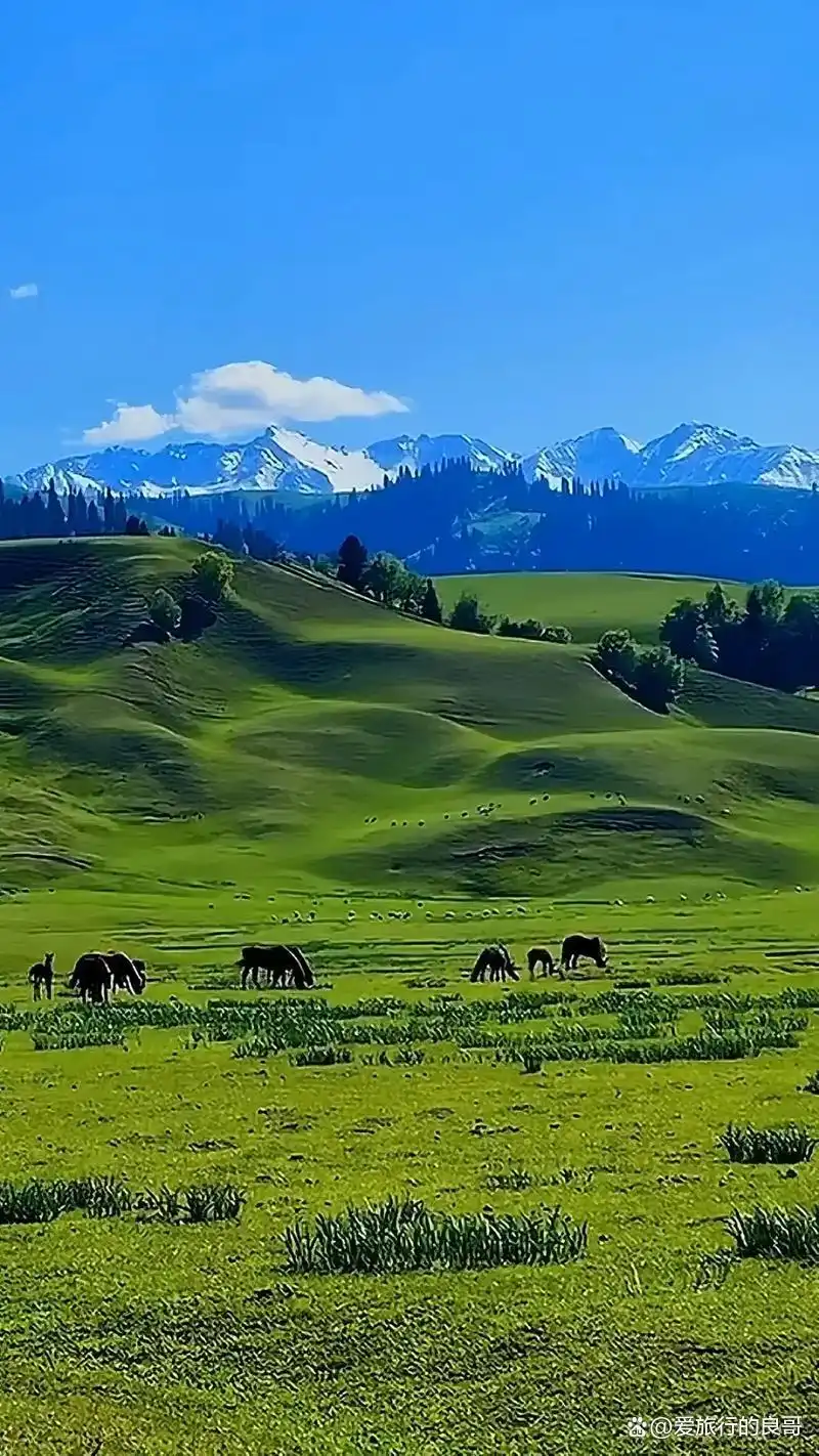 七八月避暑胜地推荐_承德避暑山庄旅游攻略_7-8月份避暑最佳地方