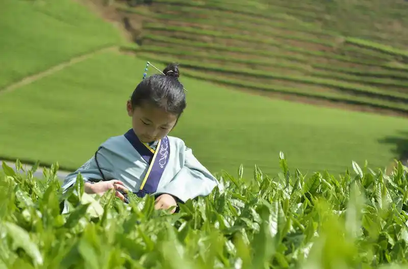暑假适合带孩子旅游的地方_六一儿童节亲子旅行_喜来登“手牵手”家庭计划