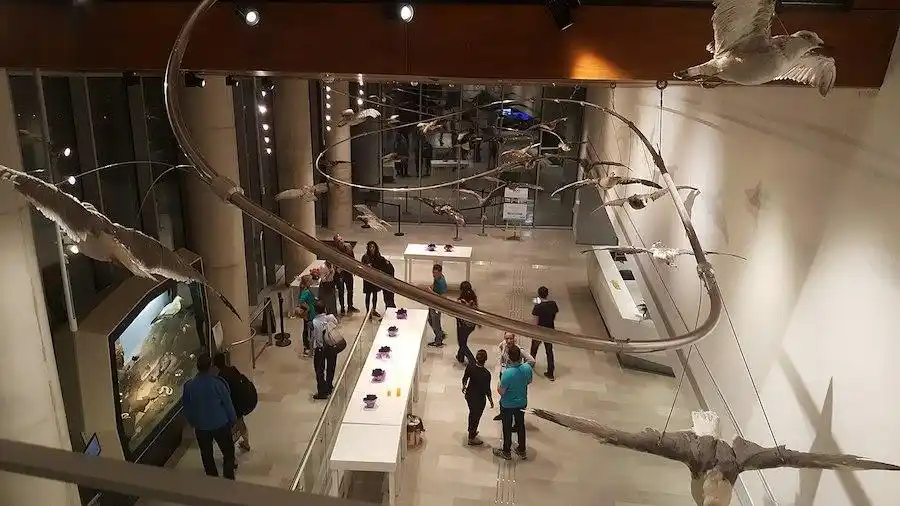六一儿童节亲子旅行_喜来登“手牵手”家庭计划_暑假适合带孩子旅游的地方