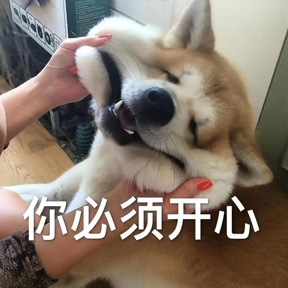 养狗家庭遭人嫌原因分析_养狗不文明行为原因_当狗不丢人