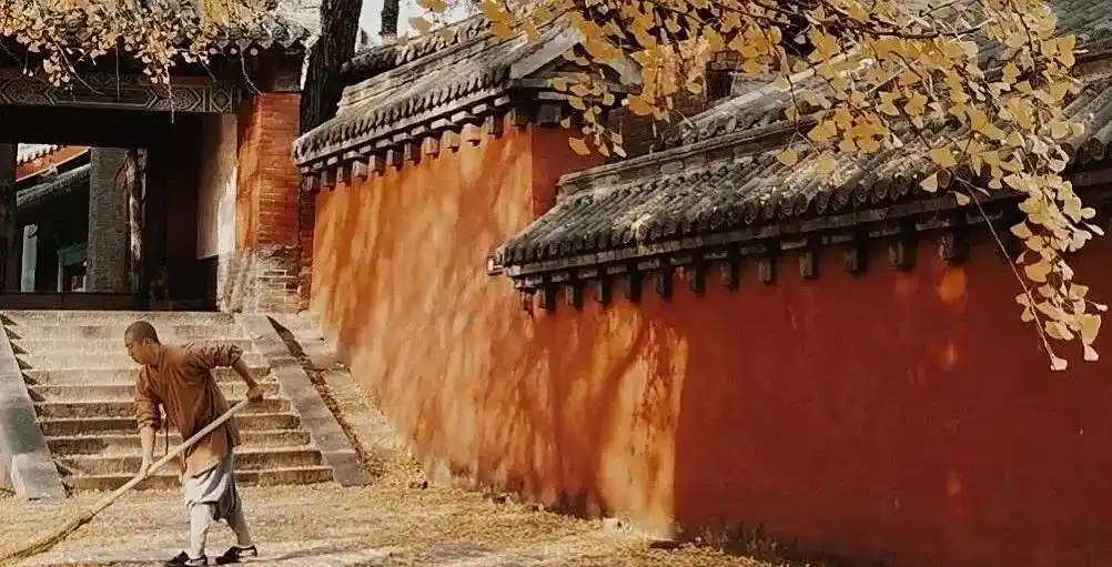 释永信到底是怎样的人_ 释永信 少林寺 方丈 调查 _