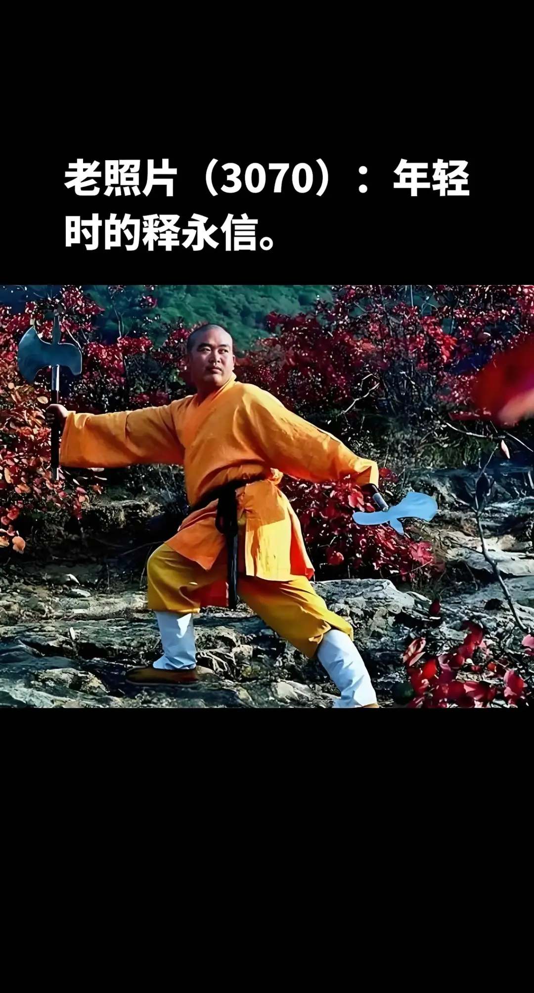 释永信到底是怎样的人_释永信事件 少林寺住持腐败 治理结构漏洞