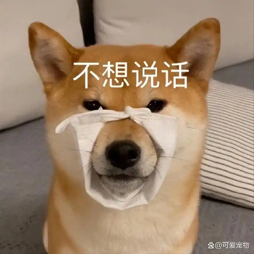 当狗不丢人_狗性格特点_公狗饲养注意事项