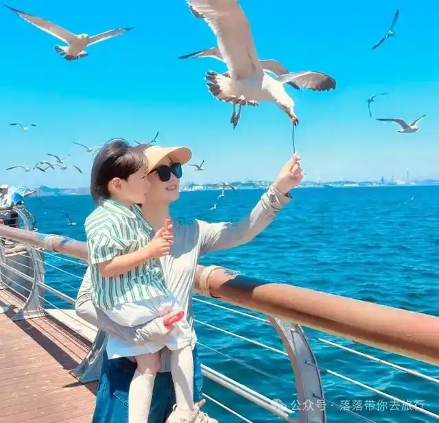 暑假适合带孩子旅游的地方_亲子游旅行攻略_夏日亲子旅行目的地