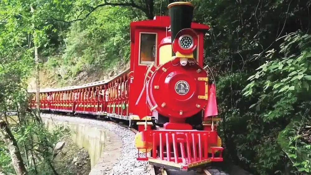 暑假亲子游景点_暑假适合带孩子旅游的地方_岳阳亲子游推荐