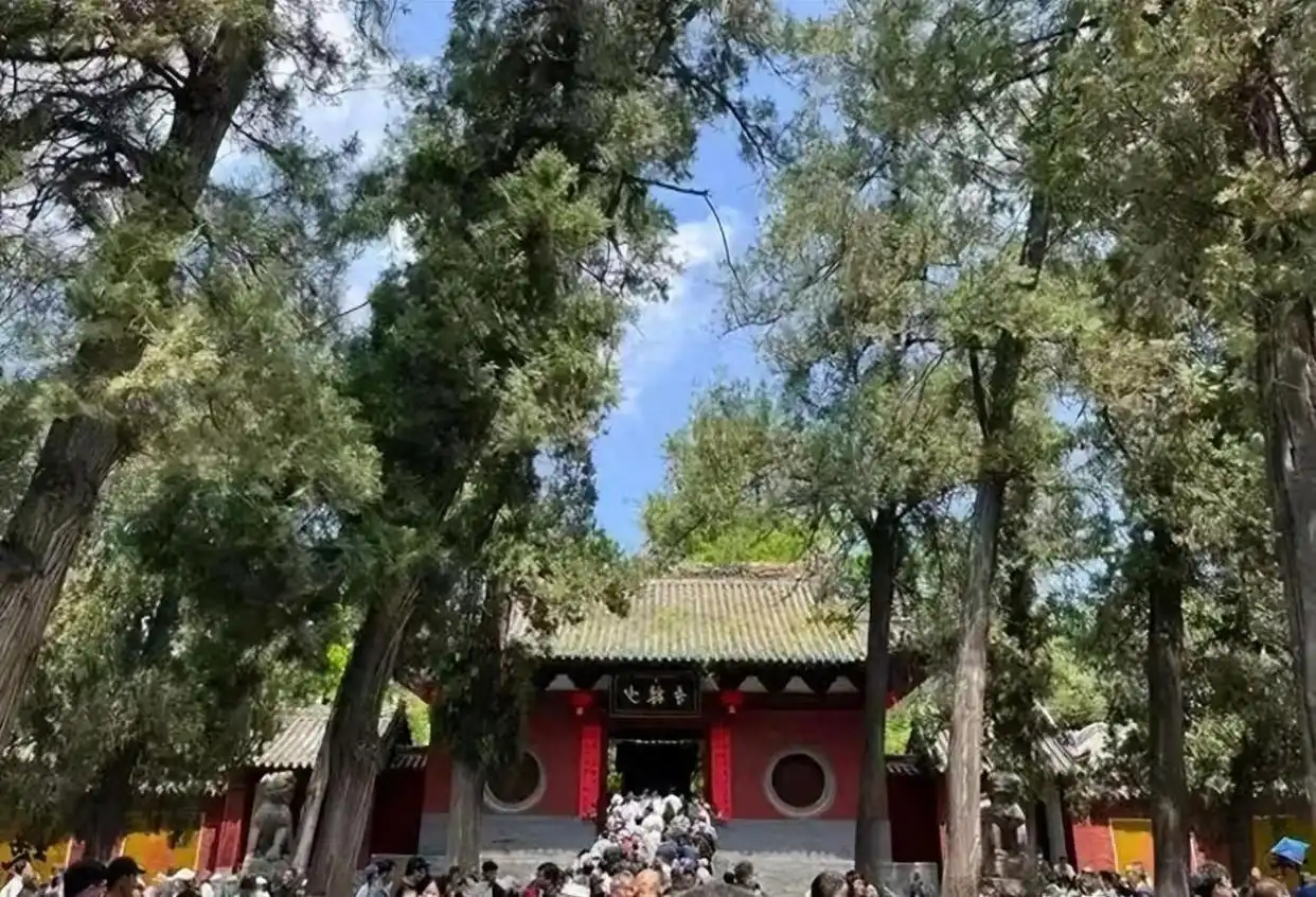 释永信1988年被逐出少林寺_少林寺释永信被开除僧籍_释永信到底是怎样的人