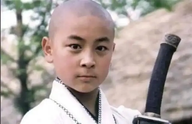 释永信武功水平_释小龙释永信师徒关系_释永信到底是怎样的人