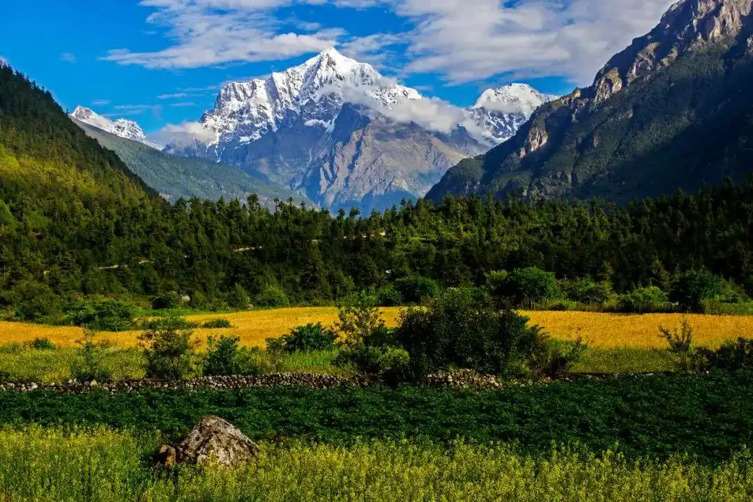 暑期国内旅游目的地_暑假适合带孩子旅游的地方_避暑旅行推荐