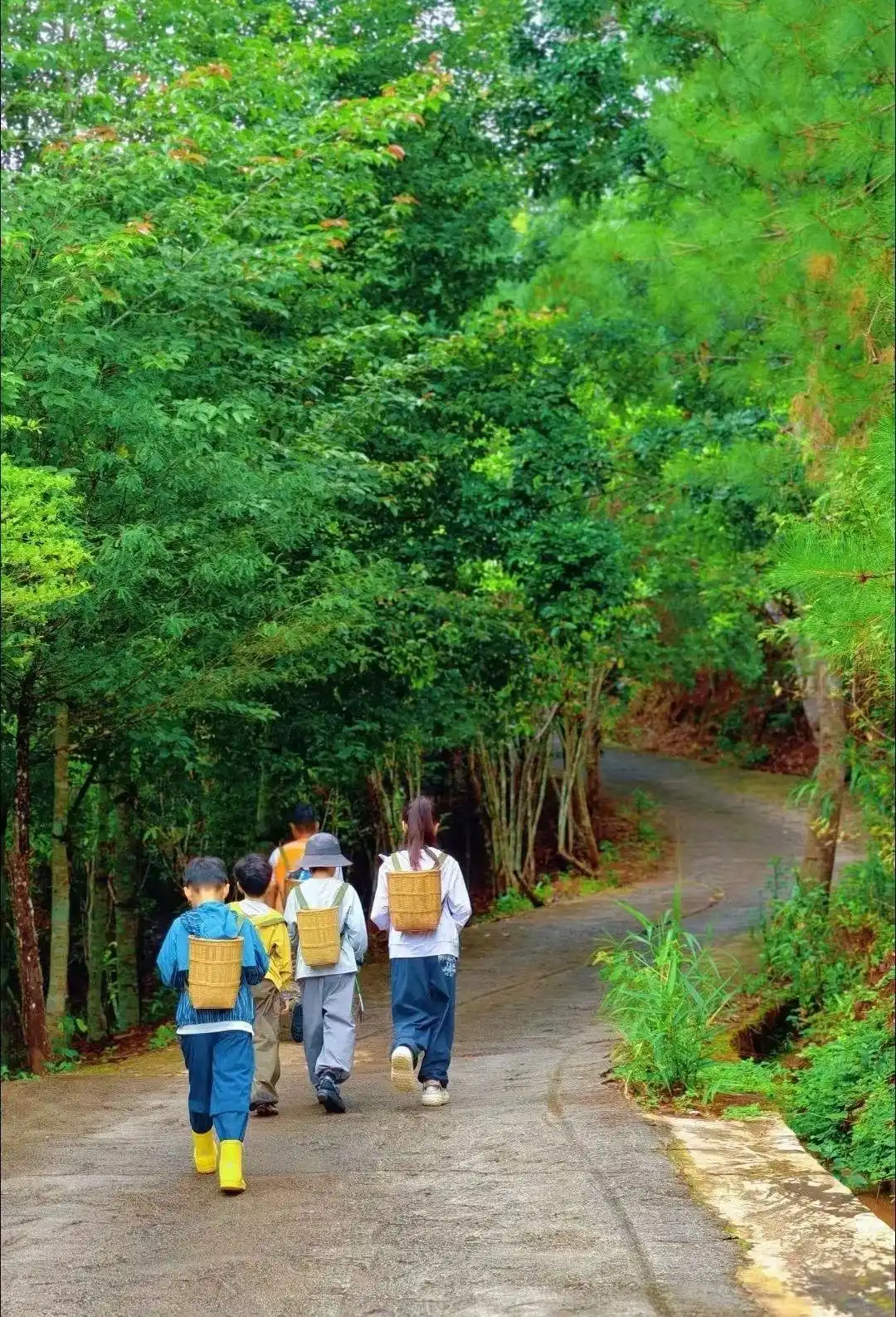 辽宁丹东亲子游攻略_暑假带娃旅行目的地推荐_暑假适合带孩子旅游的地方