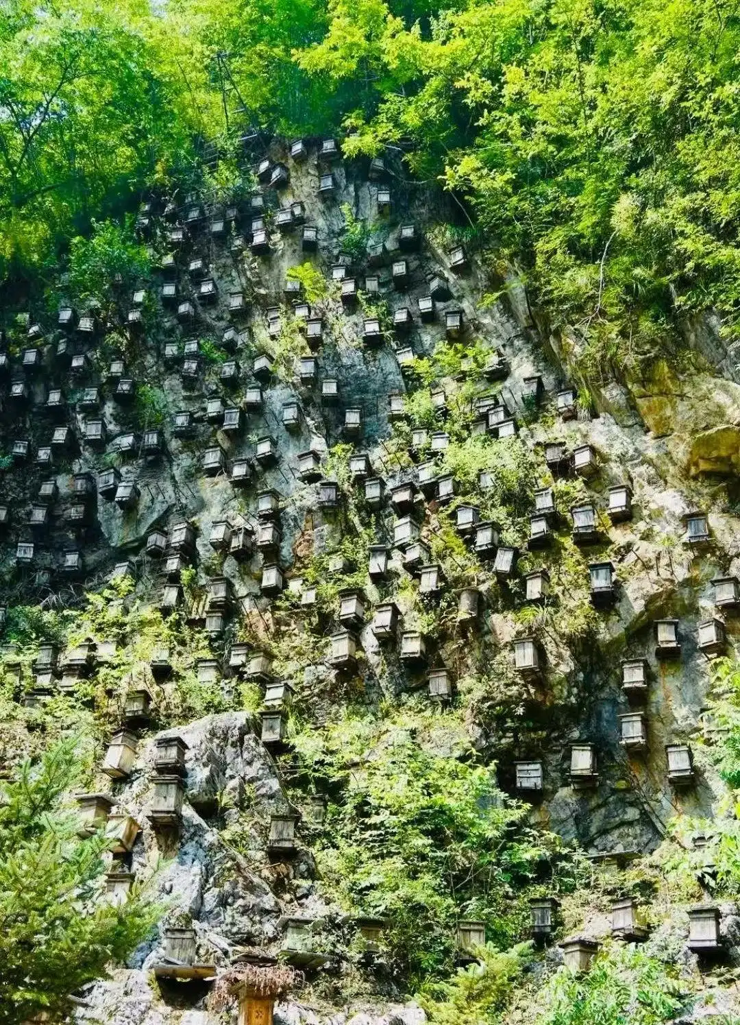辽宁丹东亲子游攻略_暑假适合带孩子旅游的地方_暑假带娃旅行目的地推荐