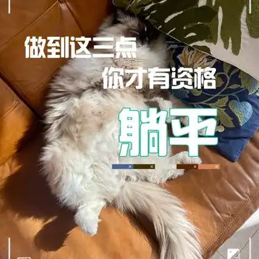躺平前提条件_具备躺平条件_躺平