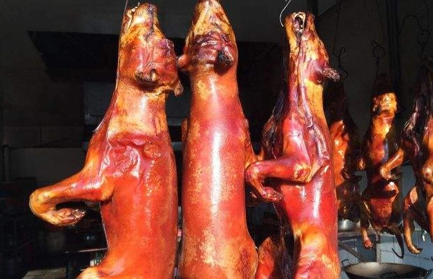 狗肉为什么上不了台面_狗肉的文化含义_当狗不丢人