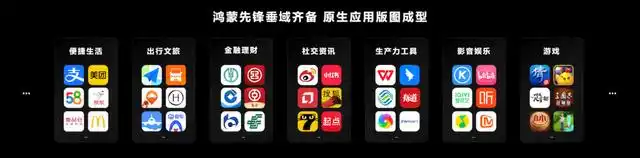 鸿蒙_ HarmonyOS NEXT 自研架构 _HarmonyOS NEXT 鸿蒙星河版 开发者预览版 